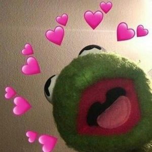 Meet your Posher, Daelyn